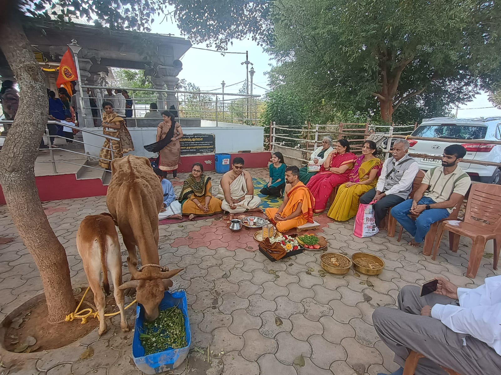 Special Gou Pooja picture 3