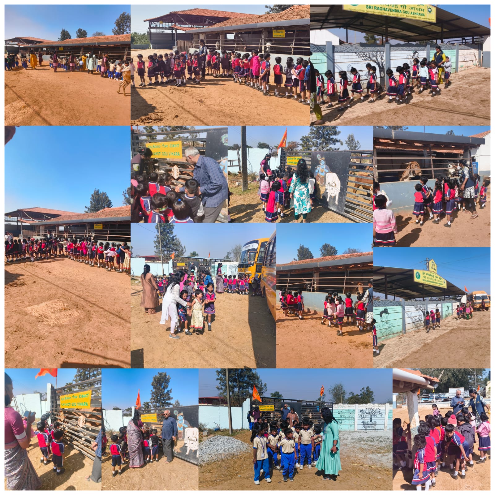 Eqube international school